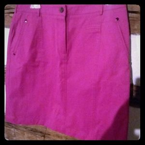 Pink Etcetera skirt size 10